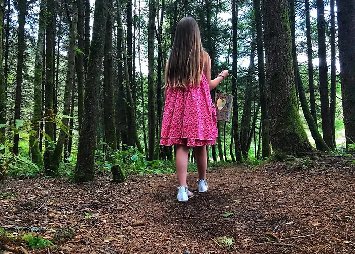 Отель De La Cholotte 3*