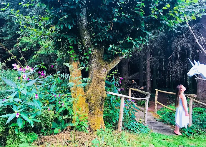 Отель De La Cholotte 3*