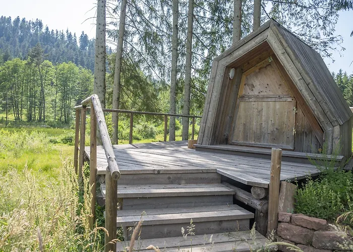 Отель De La Cholotte 3*